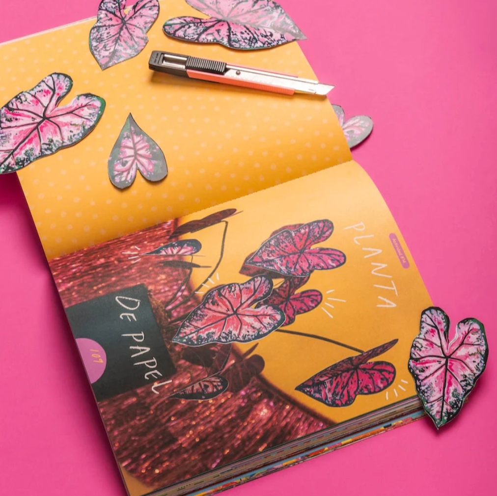 Libro Fiesta 30